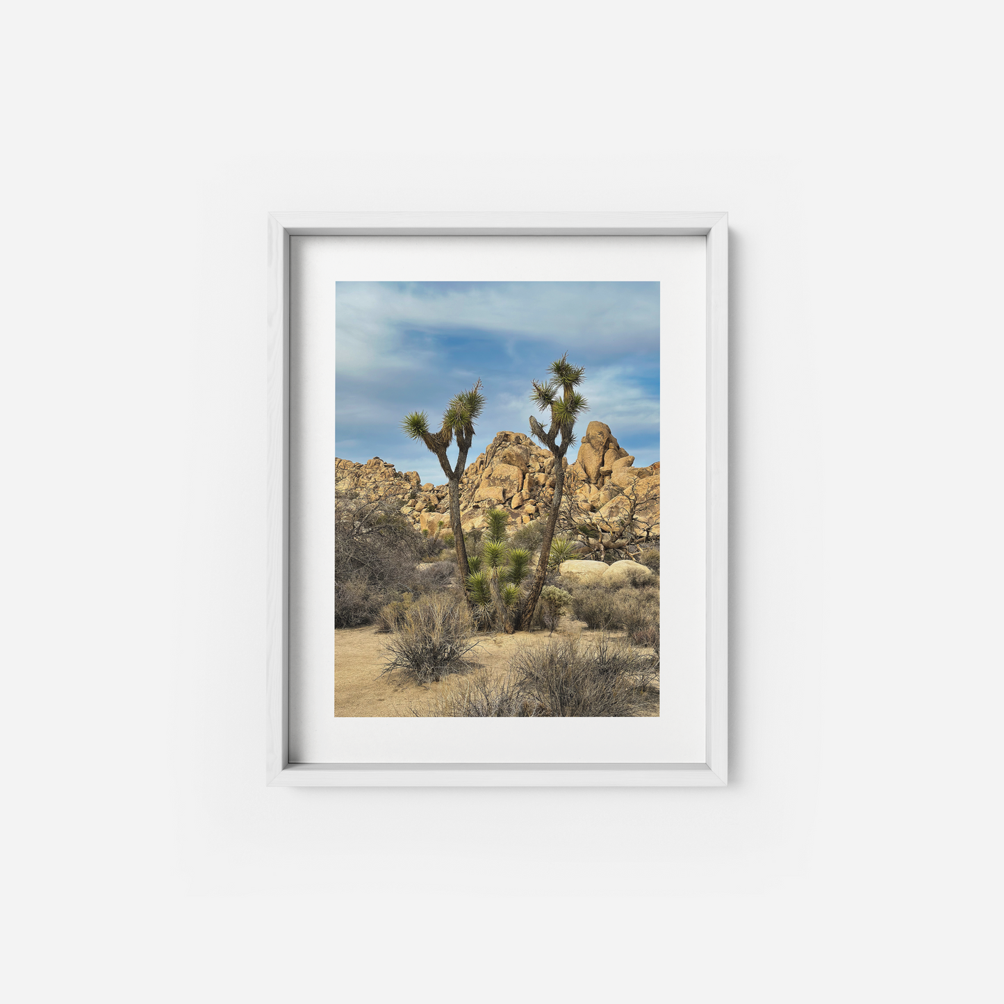 Joshua Tree 01